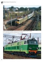 Strona 184
